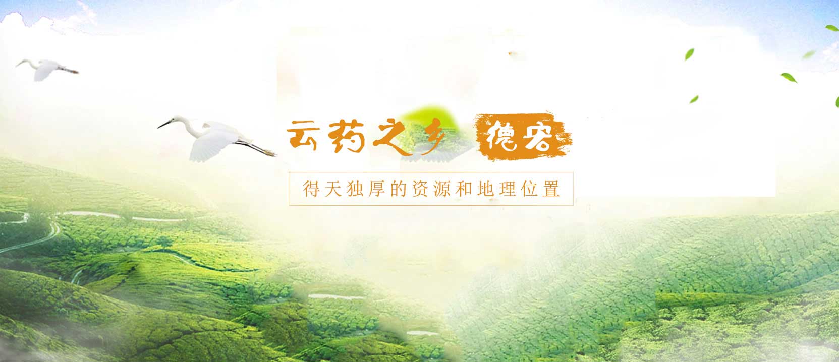 輪播圖片二